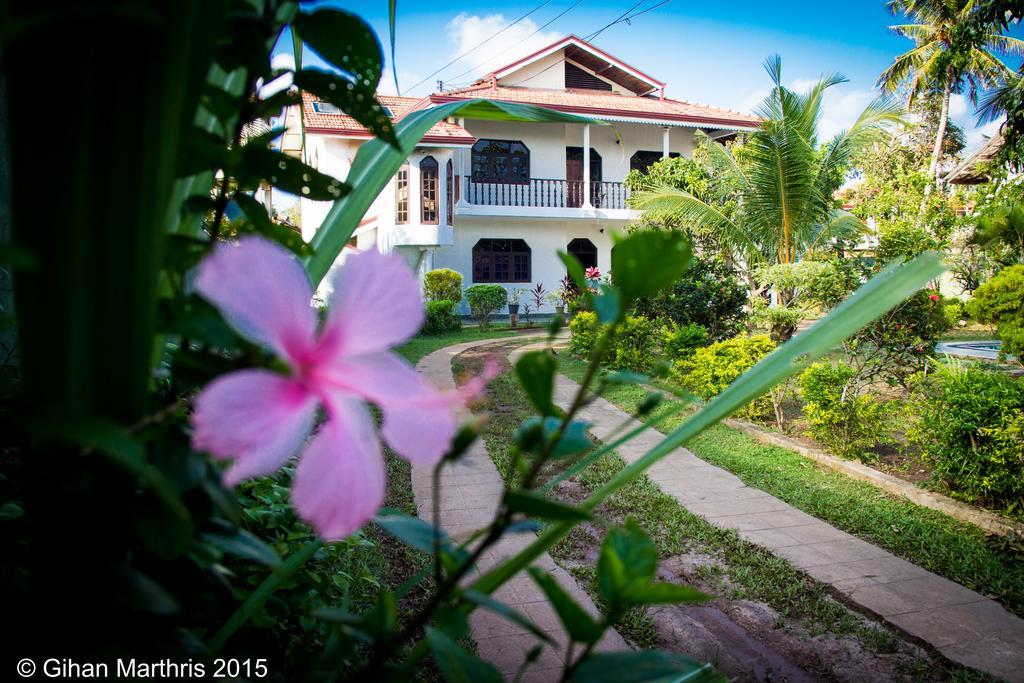 Green Village Negombo Exteriör bild